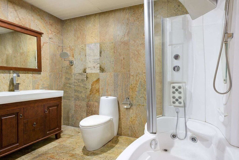 Bathroom, MT DELUXE HOTEL ASABA, Oshimili North