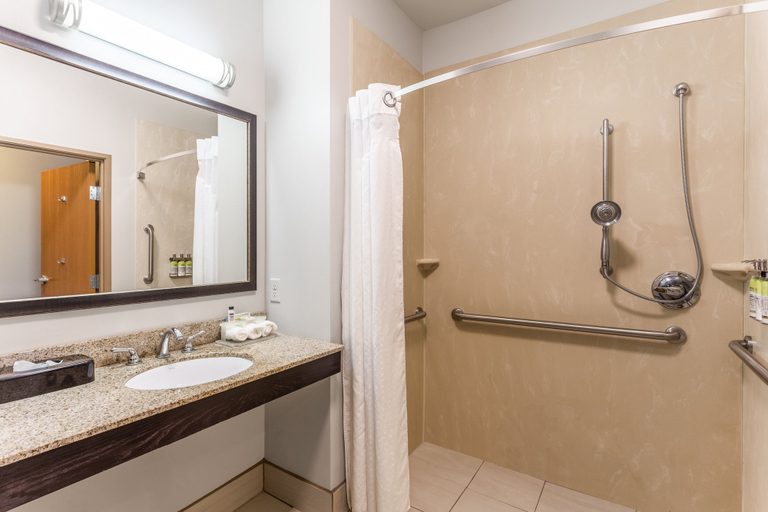 Bathroom 3, Holiday Inn Express Hotel & Suites Albert Lea - I-35 by IHG, Freeborn