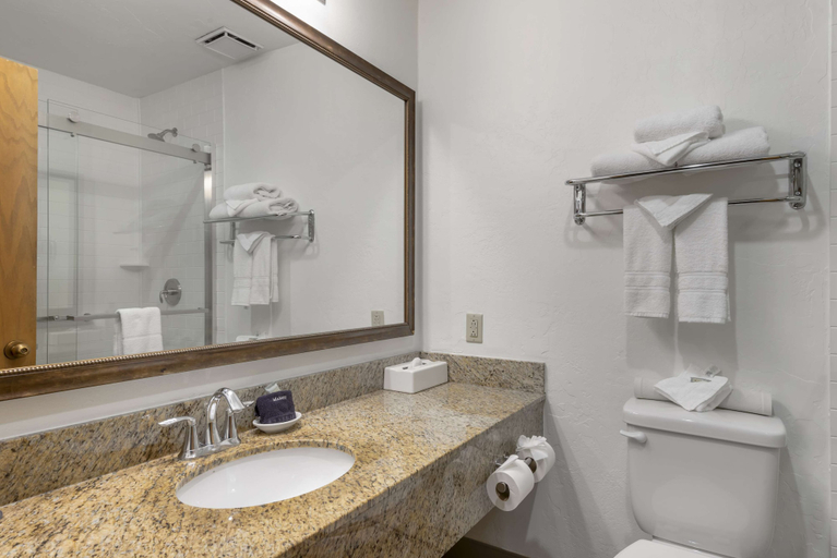 Bathroom 4, Best Western Plus Rio Grande Inn, La Plata