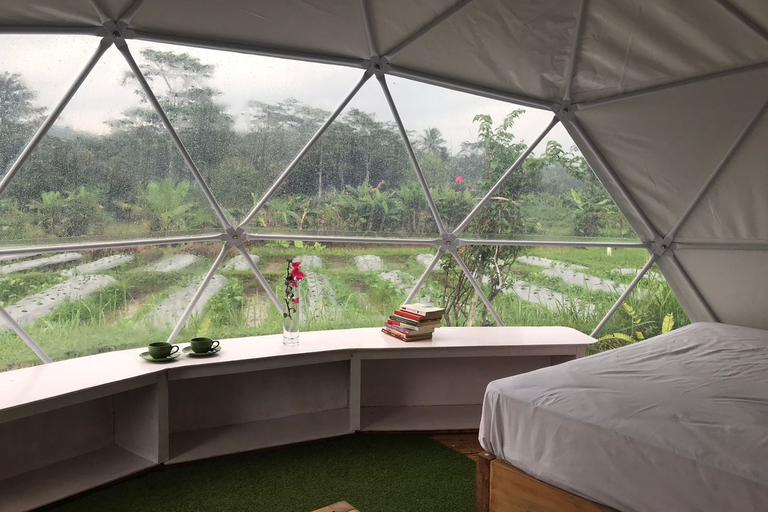 Bedroom 4, Borobudur Luxury Glamping, Magelang