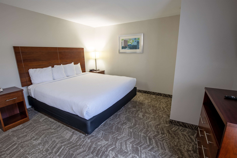 Bedroom 3, Best Western Plus Vermilion River Inn & Suites, Lafayette