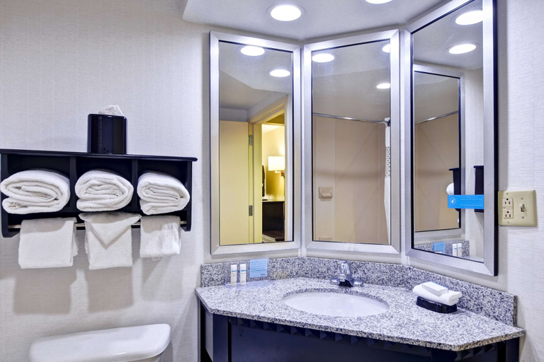 Bathroom 4, Hampton Inn Mobile-East Bay/Daphne, Baldwin