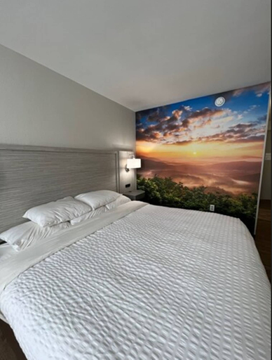 Bedroom 3, Clarion Pointe Sylva near Cherokee Area, Jackson