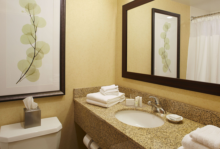Bathroom 4, Courtyard by Marriott Buffalo Amherst/University, Erie