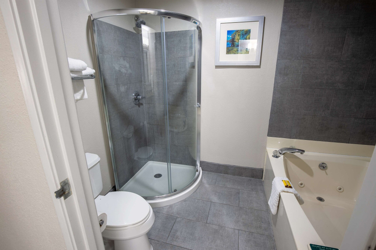 Bathroom 4, Best Western Plus Vermilion River Inn & Suites, Lafayette
