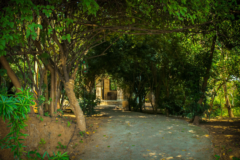 Exterior & Views 2, Panna Tiger Resort- River Side Property, Panna