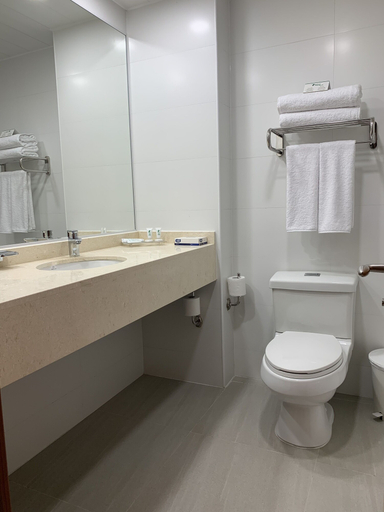 Bathroom 3, Hotel Diego de Almagro Temuco Express, Cautín