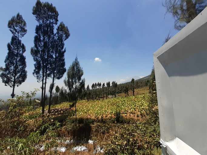 Exterior & Views 3, Tegal Ombo Homestay, Temanggung