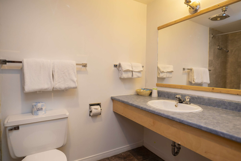Bathroom 5, Canadas Best Value Inn River View Hotel, Yukon