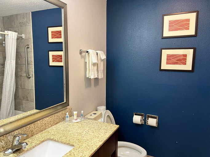 Bathroom 4, Comfort Suites East Louisville, Jefferson
