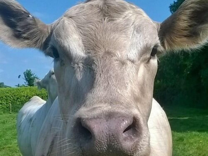 Others 5, Battens Farm Cottages - B&B and Self-catering Accommodation, Wiltshire