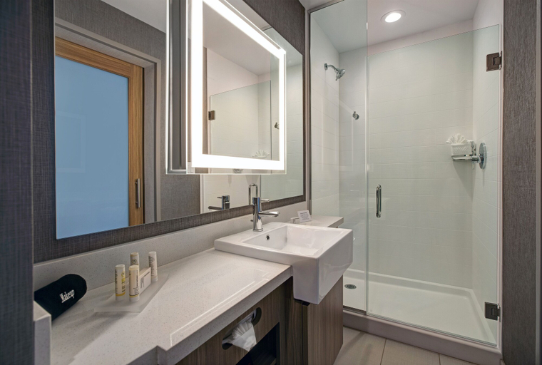 Bathroom 4, SpringHill Suites by Marriott Franklin Cool Springs, Williamson