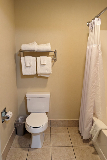 Bathroom, Tundra Lodge, Brown