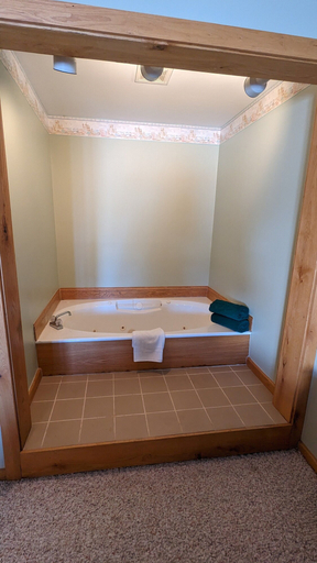 Bathroom 4, Nova Motel, Mason