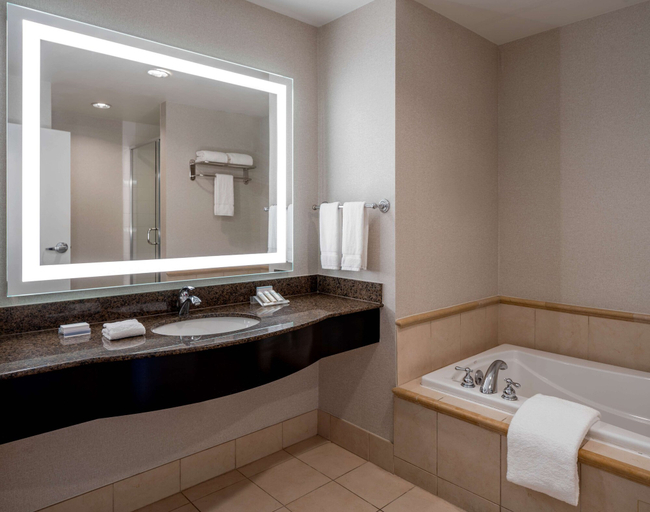 Bathroom 4, Hilton Garden Inn Jackson Downtown, Hinds