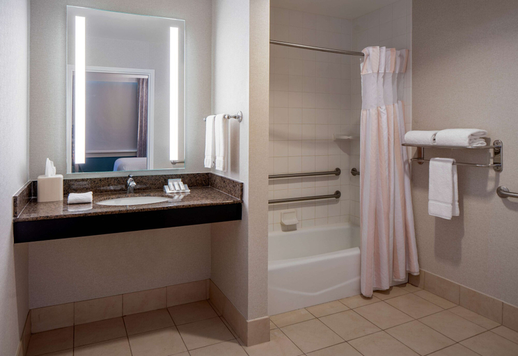 Bathroom 4, Hilton Garden Inn Jackson Downtown, Hinds