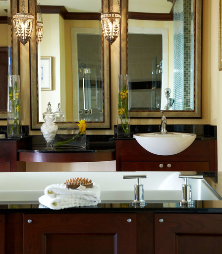 Bathroom 5, Renaissance Montgomery Hotel & Spa at the Convention Center, Montgomery