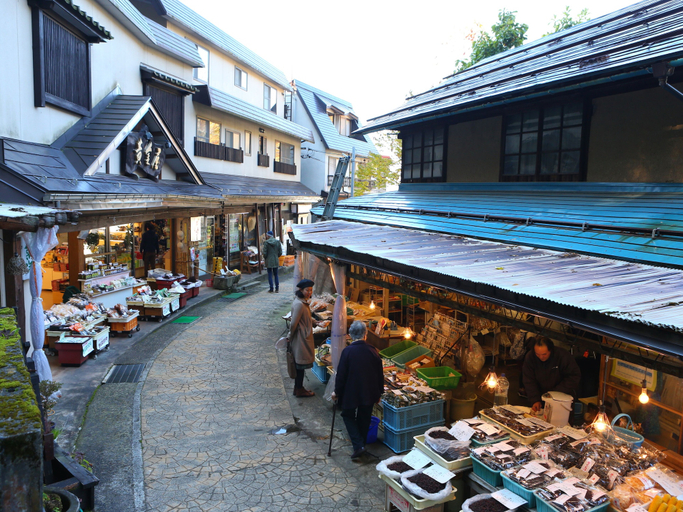 Exterior & Views 2, Ryokan Sakaya, Nozawaonsen