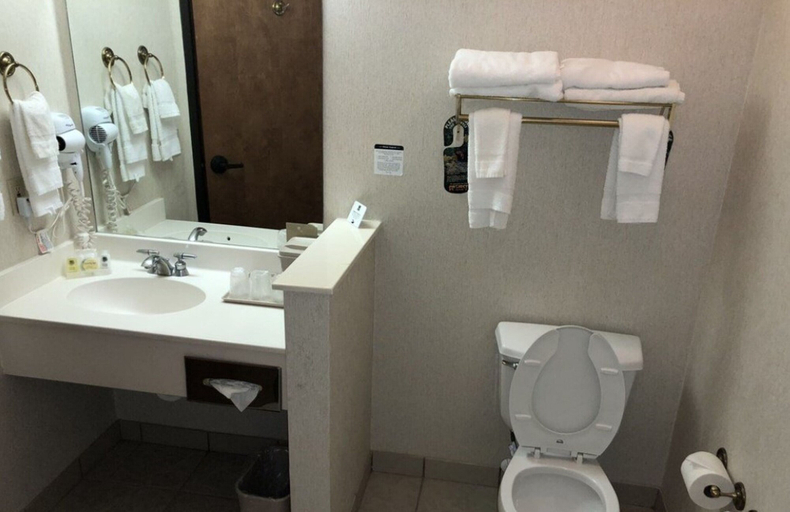 Bathroom 4, Quality Inn & Suites Roanoke - Fort Worth North, Denton