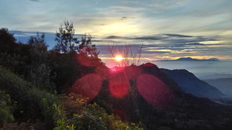 Exterior & Views 4, TENGGER HOMESTAY Bromo, Probolinggo
