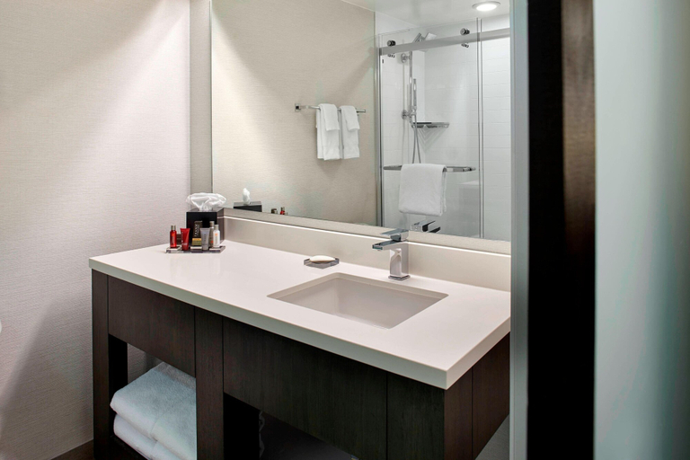 Bathroom 5, Marriott Birmingham, Jefferson