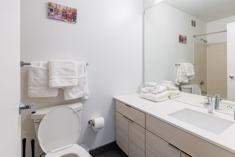 Bathroom 2, 420 Chicago, Cook
