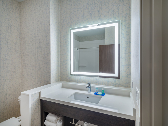 Bathroom 2, Holiday Inn Express & Suites WATERTOWN by IHG, Codington