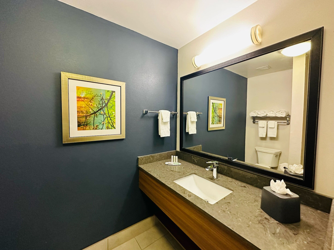Bathroom 3, Fairfield Inn & Suites by Marriott Waco North, McLennan