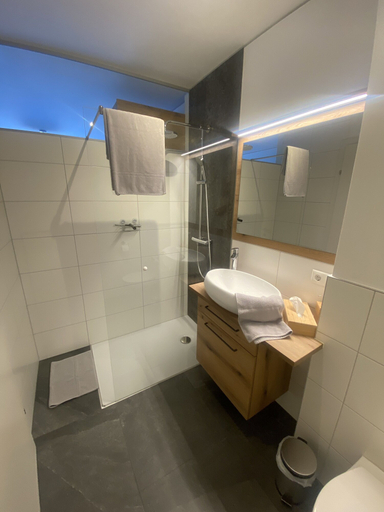 Bathroom, Brandnerhof, Steyr