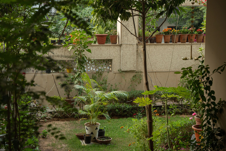 Others 5, Jaypore360 Homestay, Jaipur