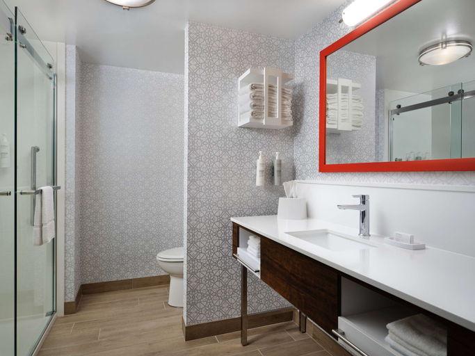 Bathroom 4, Hampton Inn Troy, Troy