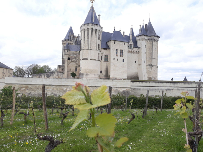 Exterior & Views 3, Happy Home For You.com, Hérault