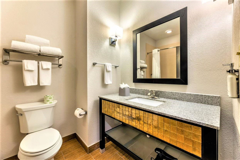 Bedroom 3, Holiday Inn Express & Suites Houston East - Baytown, Harris