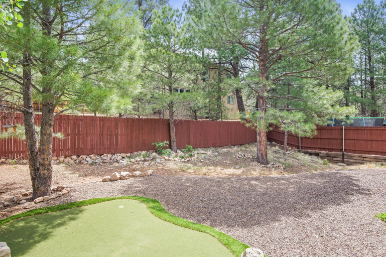 Others 5, Cattle, Coconino