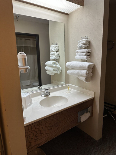 Bathroom 4, Econo Lodge El Paso, IL, Woodford