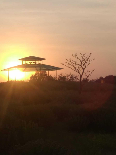 Others 4, Forest Trails Adventure Resort, Kolhapur