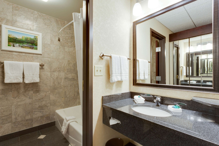 Bathroom 4, Drury Plaza Hotel St. Louis at the Arch, Saint Louis