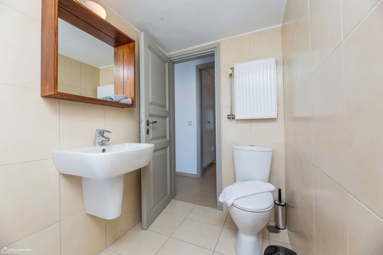 Bathroom 3, Dolphin Estate 1868, South Aegean