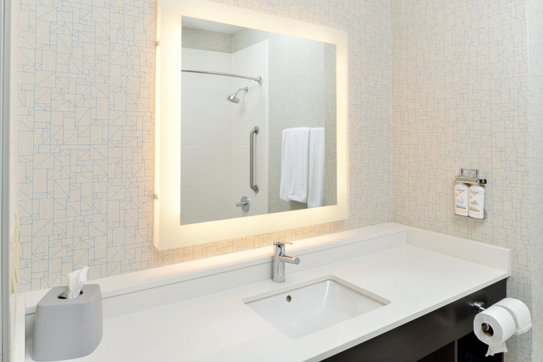 Bathroom 4, Holiday Inn Express & Suites CARTHAGE by IHG, Panola
