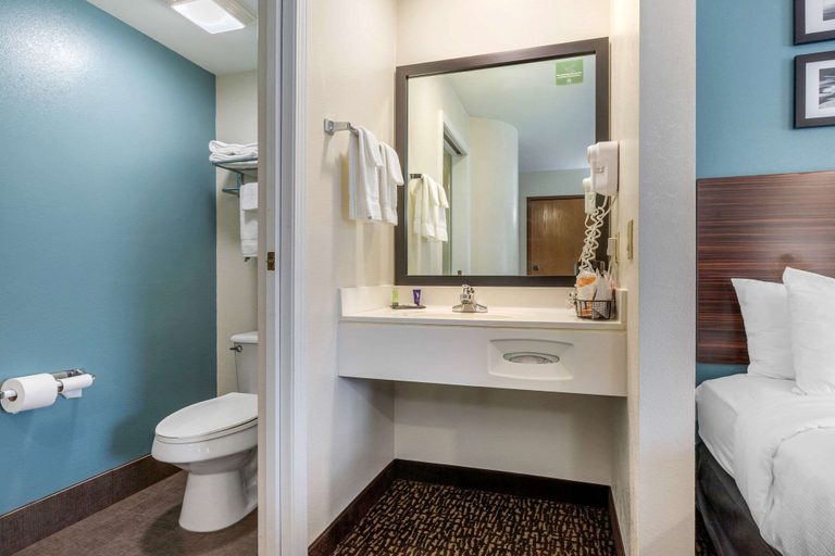 Bathroom 4, Sleep Inn & Suites Johnson City, Washington