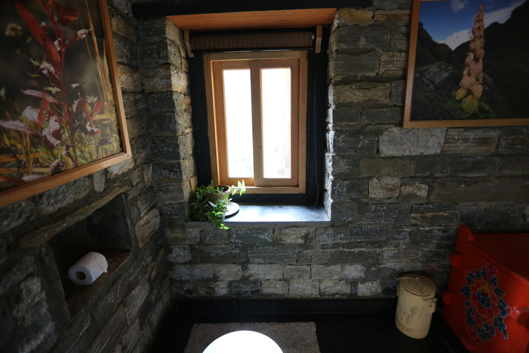 Bathroom 3, Wangdue EcoLodge, Ruepisa