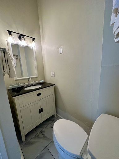 Bathroom 4, The Belvedere B&B, Charlevoix