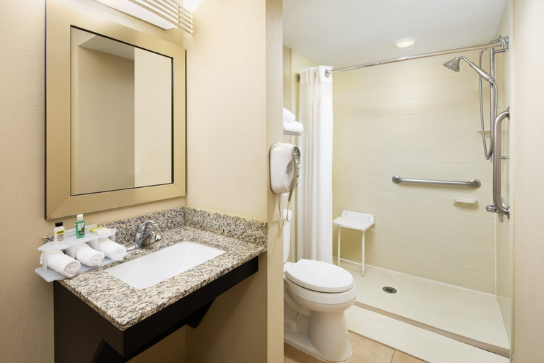 Bathroom 4, Holiday Inn Express & Suites ALPHARETTA - WINDWARD PARKWAY by IHG, Fulton