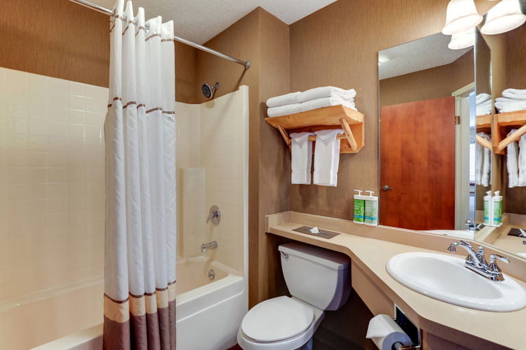 Bathroom 4, Stoney Creek Inn Galena, Jo Daviess