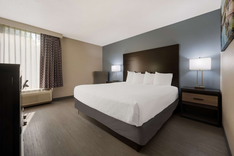 Bedroom 4, Best Western Executive Inn, Calhoun