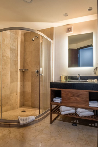 Bathroom 3, Hilton Garden Inn Mexico City Polanco, Mexico City