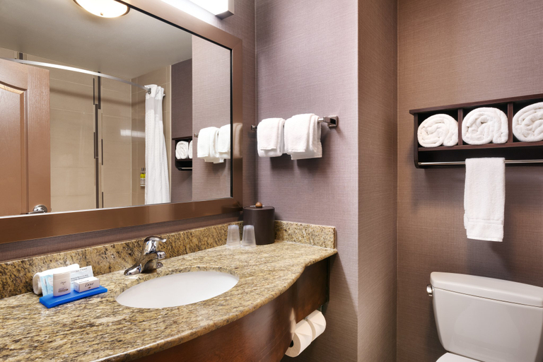 Bathroom 3, Holiday Inn Express & Suites BILLINGS WEST by IHG, Yellowstone