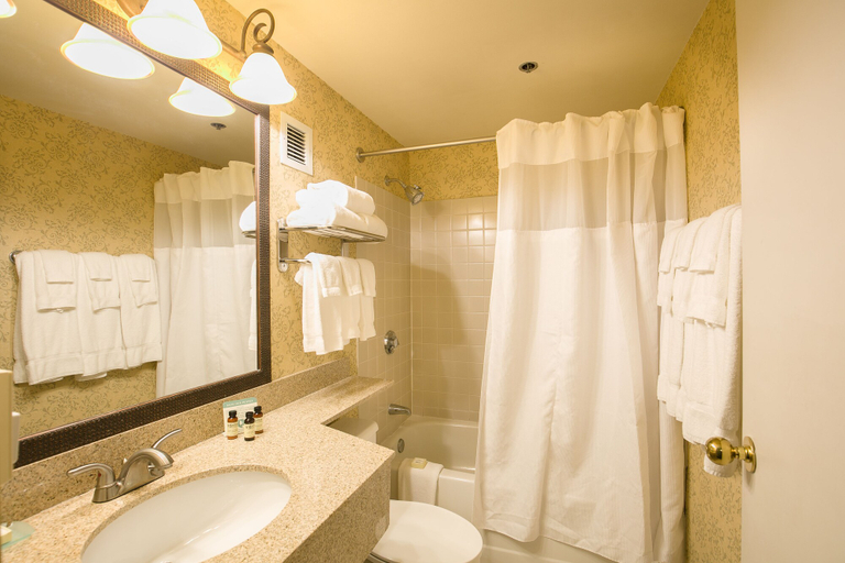 Bathroom 4, Sugarloaf Mountain Hotel, Franklin