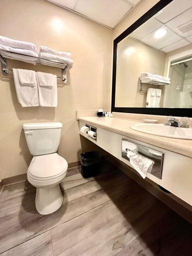 Bathroom 5, Royal Hotel, Division No. 10