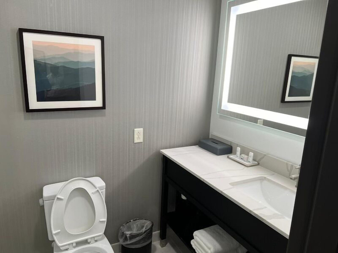 Bathroom 5, La Quinta Inn & Suites by Wyndham Manchester / Arnold AFB, Coffee
